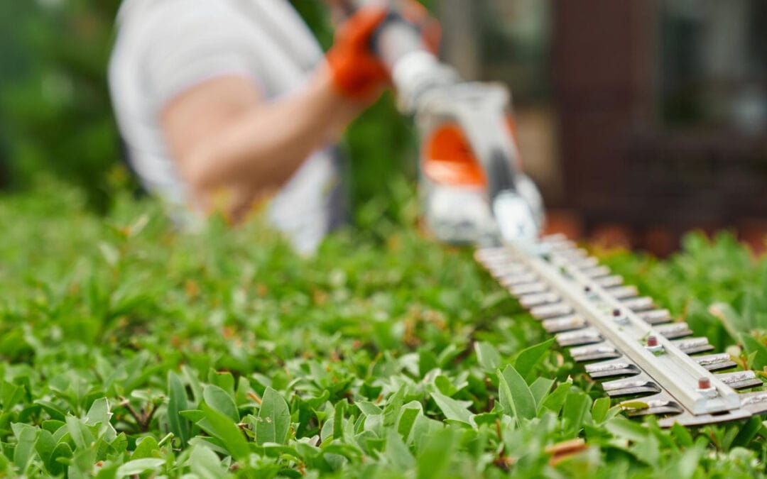 Guia de proteção para trabalhos com jardinagem